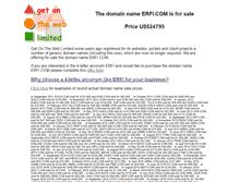 Tablet Screenshot of erfi.com